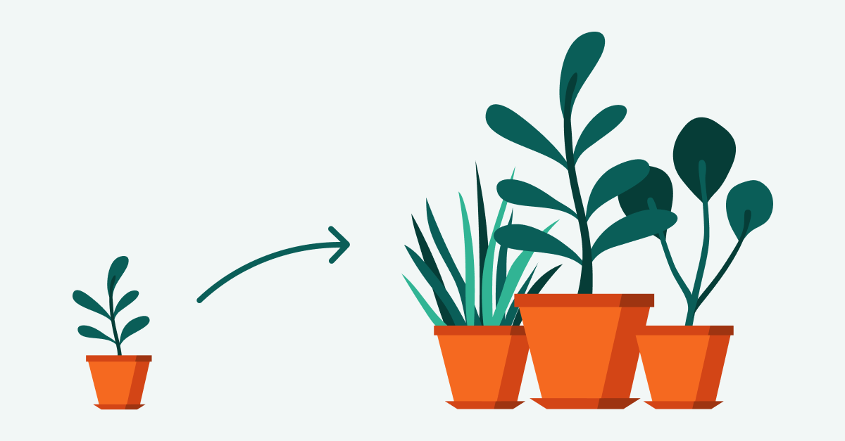 Nuture leads illustration